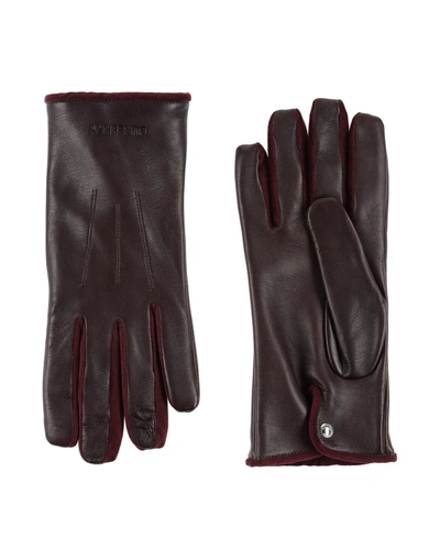 Shop Burberry Gloves In Maroon
