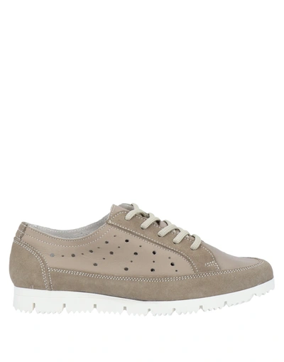 Shop Soldini Sneakers In Dove Grey