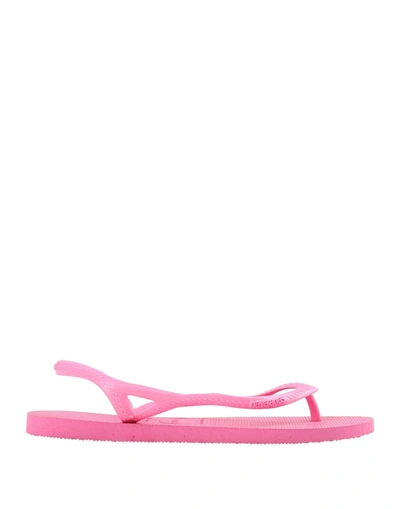 Shop Havaianas Woman Thong Sandal Fuchsia Size 11/12 Rubber In Pink