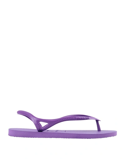Shop Havaianas Woman Toe Strap Sandals Purple Size 11/12 Rubber