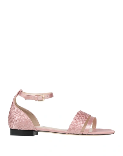 Shop Pennyblack Sandals In Pink