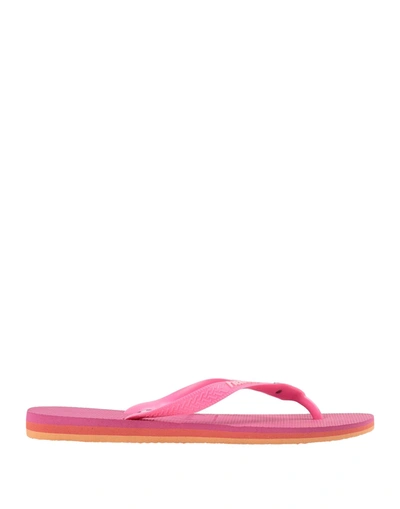 Shop Havaianas Woman Thong Sandal Fuchsia Size 3/4y Rubber In Pink