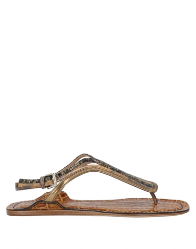 Shop Chloé Toe Strap Sandals In Camel