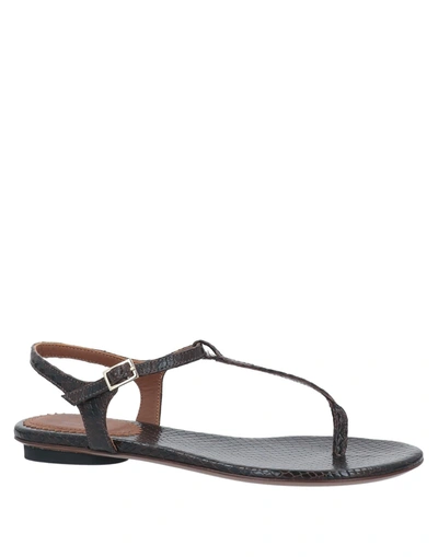 Shop L'autre Chose Toe Strap Sandals In Dark Brown