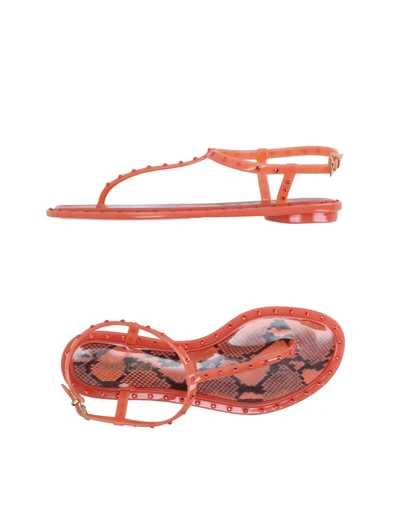 Shop Roberto Cavalli Toe Strap Sandals In Orange