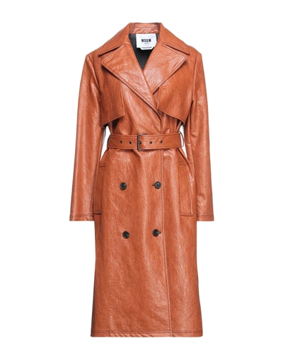 Shop Msgm Overcoats In Brown