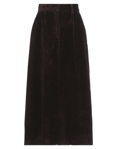 Dolce & Gabbana Midi Skirts In Dark Brown
