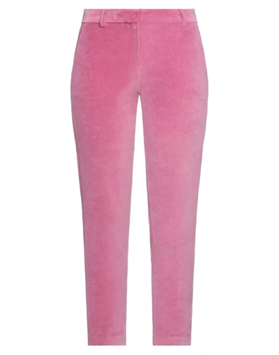 Shop Circolo 1901 Pants In Pink