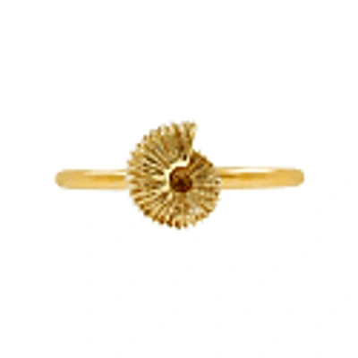 Lee Renee Ammonite Ring - Gold In Ammonite
