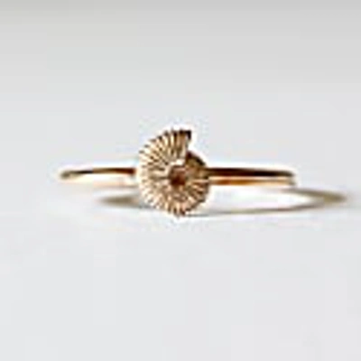 Lee Renee Ammonite Ring - Gold In Ammonite