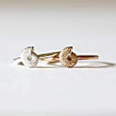 Lee Renee Ammonite Ring - Gold In Ammonite