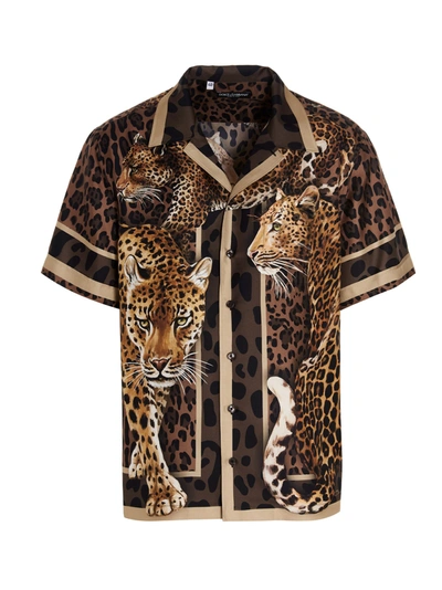 Shop Dolce & Gabbana Leopard Shirt In Multicolor