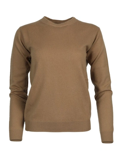 Shop Alexandra Golovanoff Virgile Cashmere Crew Neck Sweater In Brown