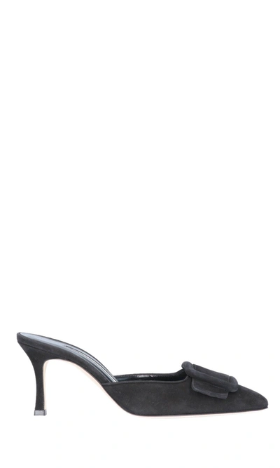 Shop Manolo Blahnik Maysale Buckled Mules In Black