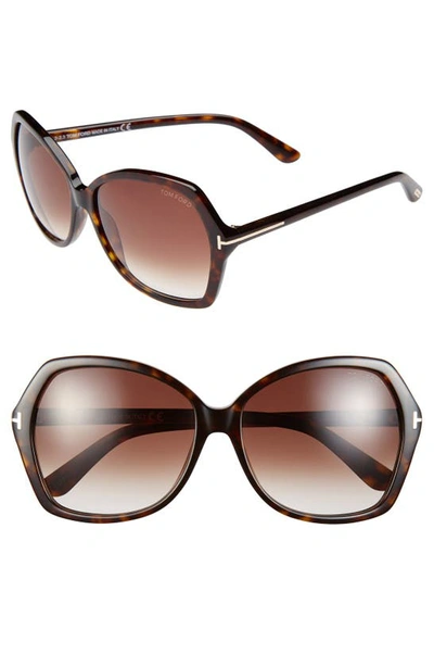 Shop Tom Ford Carola 60mm Sunglasses In Havana/ Gradient Brown Lenses
