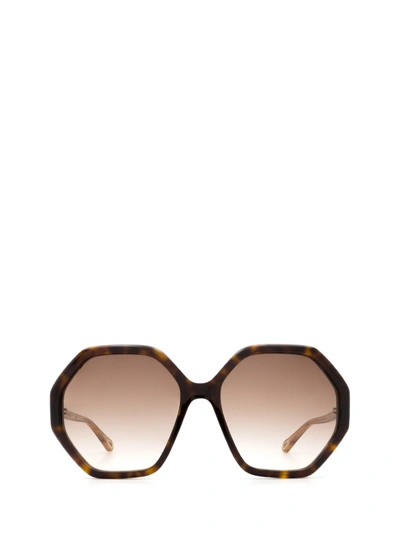 Shop Chloé Eyewear Octagonal Frame Sunglasses In Brown