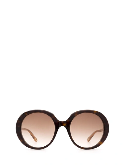 Shop Chloé Eyewear Round Frame Sunglasses In Multi