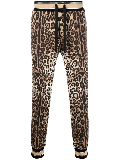 Dolce & Gabbana Leopard-print Drawstring-fastening Track Trousers In Multi  Colour
