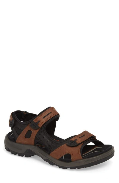 Shop Ecco 'yucatan' Sandal In Brown/black