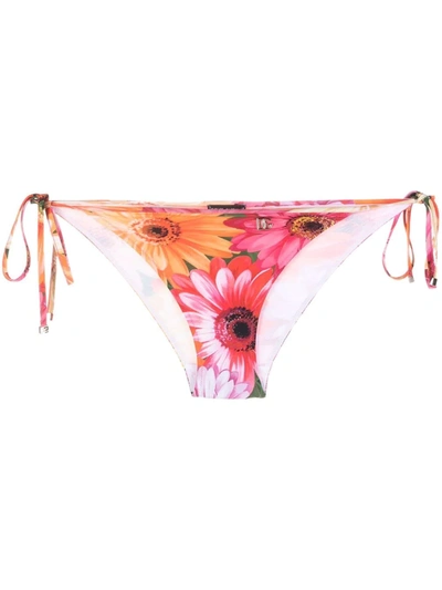 Shop Dolce & Gabbana Floral-print Bikini Bottoms In Orange