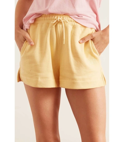 Shop Ganni Software Isoli Shorts In Anise Flower In Yellow