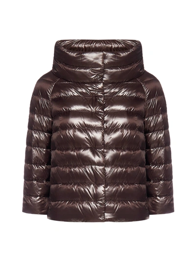 Herno Aminta Quilted Glossed Shell Jacket In Marrone Scuro