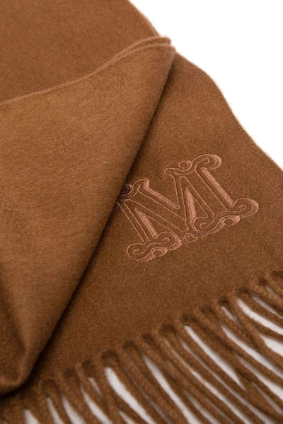Shop Max Mara Scarfs Leather Brown