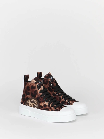 Shop Dolce & Gabbana Leopard Print High In Multi