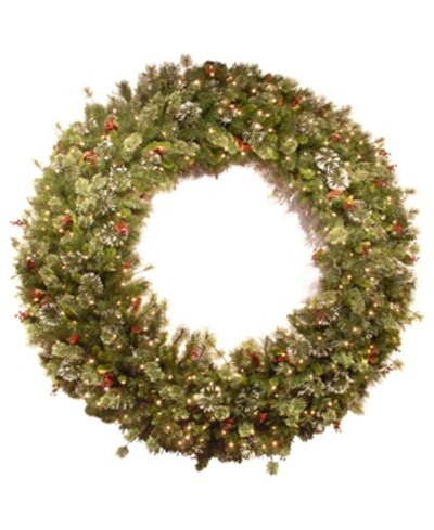 National Tree Company 60" Wintry Pine Wreath With Clear Lights In Green