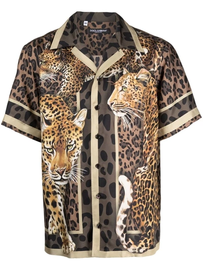 Shop Dolce & Gabbana Leopard-print Short-sleeve Shirt In Brown
