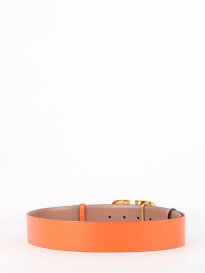 Shop Valentino Vlogo Signature Reversible Belt In Multicolor