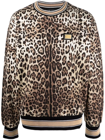Shop Dolce & Gabbana Leopard-print Long-sleeve Sweatshirt In Braun