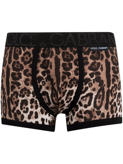 Shop Dolce & Gabbana Leopard-print Boxer Trunks In Neutrals
