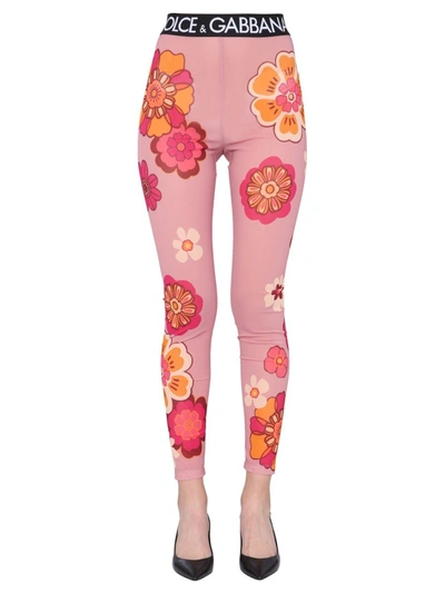 Shop Dolce & Gabbana Floral Printed Leggings In Multi