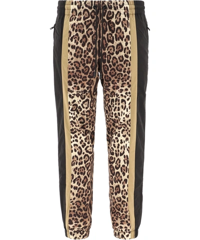 Shop Dolce & Gabbana Leopard Printed Jogger Pants In Multi