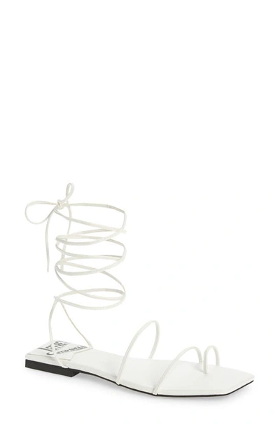 Jeffrey Campbell Primma Lace up Sandal In White ModeSens