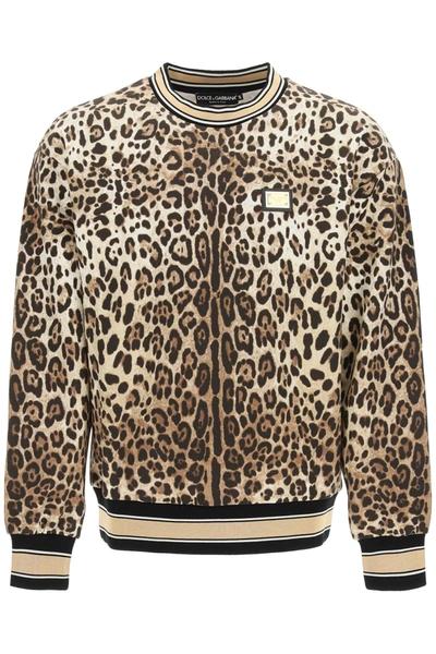 Shop Dolce & Gabbana Crewneck Sweatshirt In Leo Senza Logo (brown)