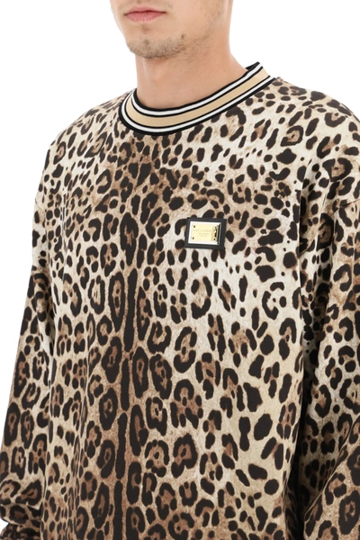 Shop Dolce & Gabbana Crewneck Sweatshirt In Brown