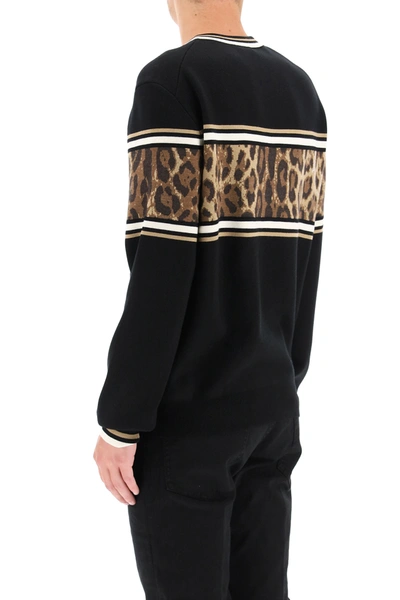 Shop Dolce & Gabbana Animalier Wool Sweater In Black,brown