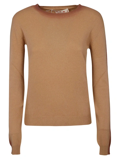 Shop Marni Regular Plain Sweater In Biscuit