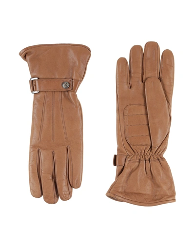 Shop Versace Gloves In Camel