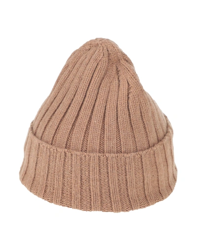 Shop Aragona Hats In Light Brown