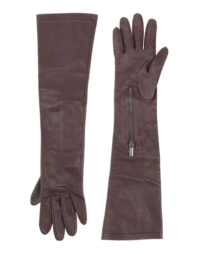 Shop Gentryportofino Woman Gloves Dark Brown Size S Ovine Leather