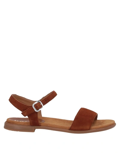 Shop Unisa Sandals In Brown