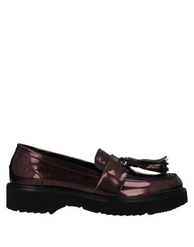 Shop Franca Loafers In Maroon