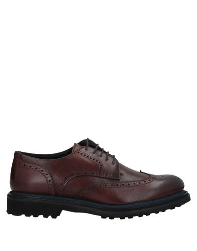 Shop Alberto Guardiani Lace-up Shoes In Brown