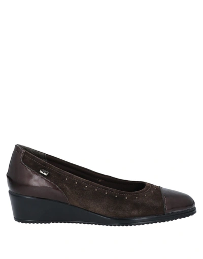 Shop Valleverde Pumps In Dark Brown