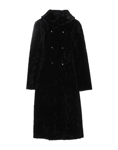 Shop Emporio Armani Woman Coat Black Size 6 Shearling
