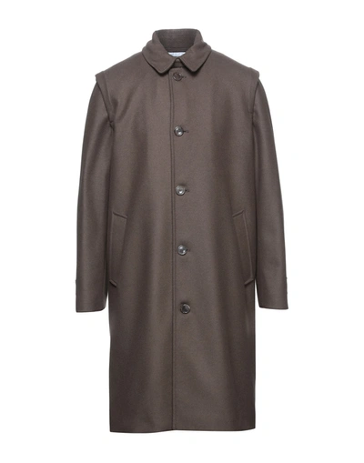 Shop Mauro Grifoni Coats In Brown