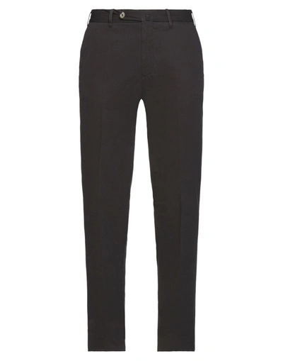 Shop Addiction Pants In Dark Brown